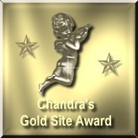 goldaward.jpg (9500 bytes)