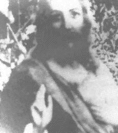 Image8.gif (20809 bytes)