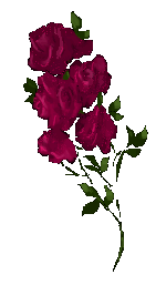 lrose3.gif (7608 bytes)