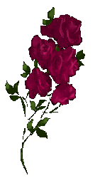 lrose4.gif (7595 bytes)