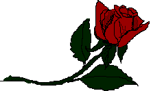 rose23.gif (2730 bytes)