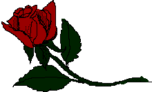 rose23a.gif (2746 bytes)