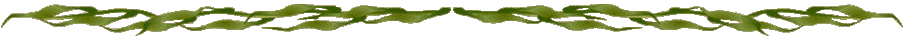 seaweed.gif (12279 bytes)