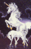 unipic10.gif (16748 bytes)