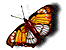bfly3.gif (10908 bytes)