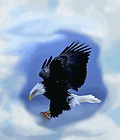 eagle1a.gif (9961 bytes)