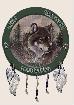 WRF logo