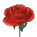 k�c�k g�l.gif (1186 bytes)