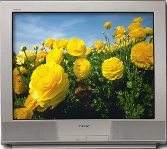 Flat Screen T.V. 
