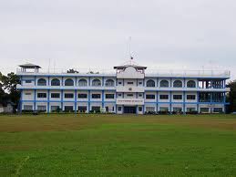 Norsu