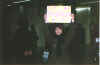 99030610.jpg (18836 byte)
