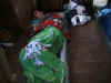 Dsc00049.jpg (33731 byte)