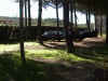 2001110118.jpg (45153 byte)