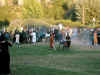 DSCN0746.jpg (71091 byte)