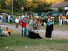 DSCN0750.jpg (80187 byte)