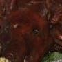 Lechon!!!  Lechon!!!  Ahak ahak ahak!!!