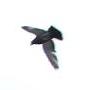 Pigeons flying on cue! Buti hindi umebak...