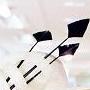 Hats on Parade!