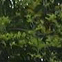 Click here for Pictures taken from November 2003 to April 2005