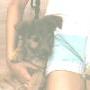 With two of six puppies