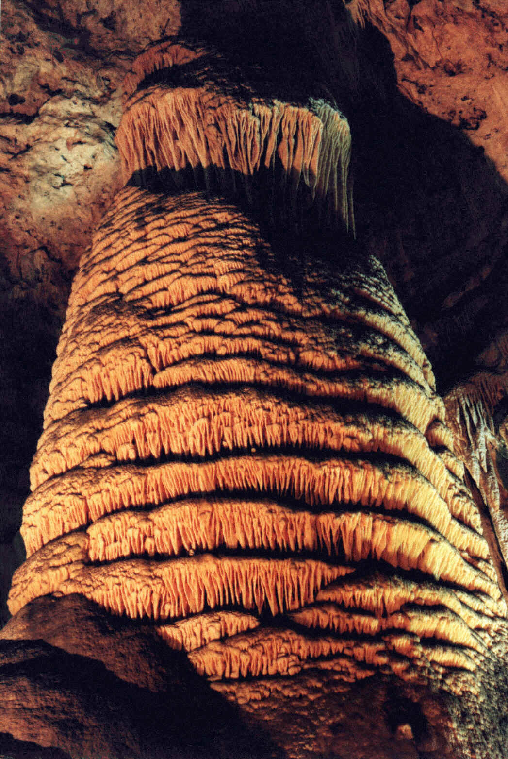 site de rencontre bienheureux jean paul 2