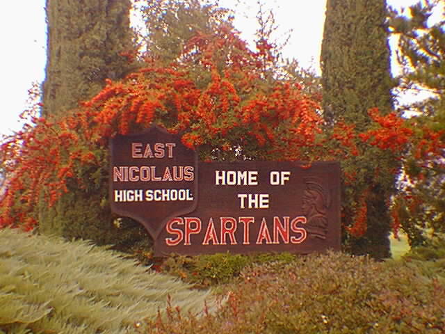 our school