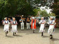 Hampshire Garland