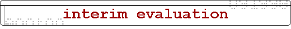 interim evaluation