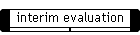 interim evaluation