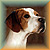English River Website