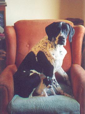 Zachary and Callie
