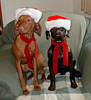 bronze 'pointer?' or 'vizsla', click to enlarge