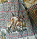 Pendleton pointer jacket, click to enlarge