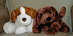 Stuffed pointer and 'vizsla'