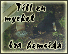Sidan �r tyv�rr nerlagt f�r tillf�llet
