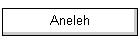 Aneleh