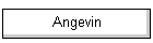 Angevin