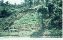 Palicada03_BR116b.JPG
 (92,4k)