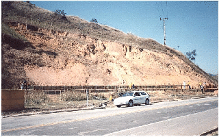 Palicada06_BR116b.JPG
 (77,1k)