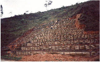 Palicada08_BR116b.JPG
 (100,0k)