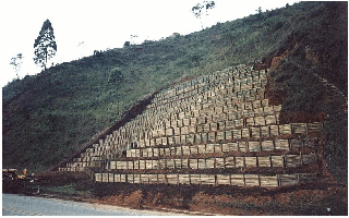 Palicada091_BR116b.JPG
 (86,1k)