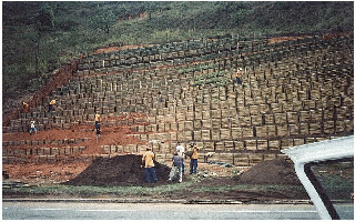 Palicada092_BR116b.JPG
 (115,8k)