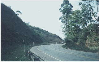 Palicada093_BR116b.JPG
 (70,0k)