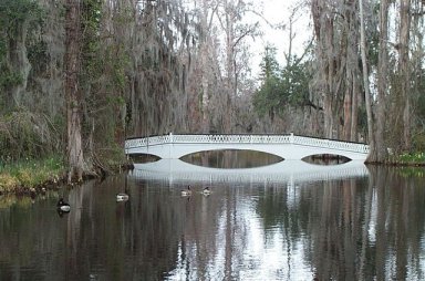 Bridge at Magnolia Plantation