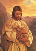 thumbnail of your picture 6
