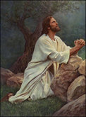 thumbnail of your picture 7