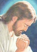 thumbnail of your picture 2
