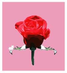 thumbnail of your picture 7