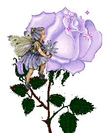 thumbnail of your picture 7