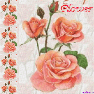 thumbnail of your picture 5